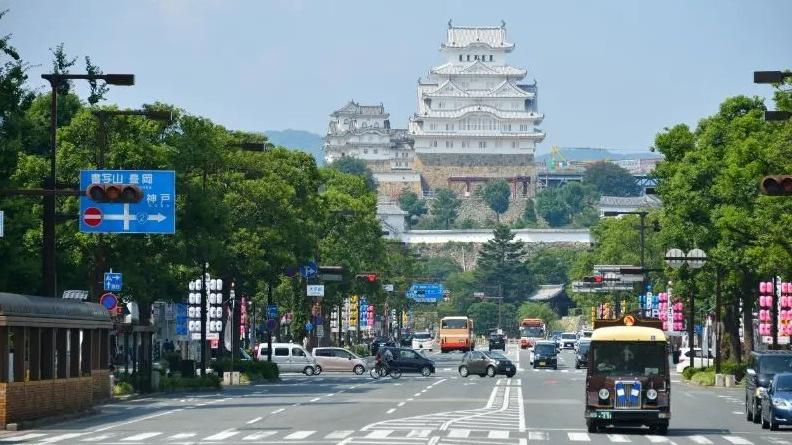 姬路城所在的兵庫縣姬路市有野豬出沒，6名居民包括兩名幼童受襲。(資料圖片)