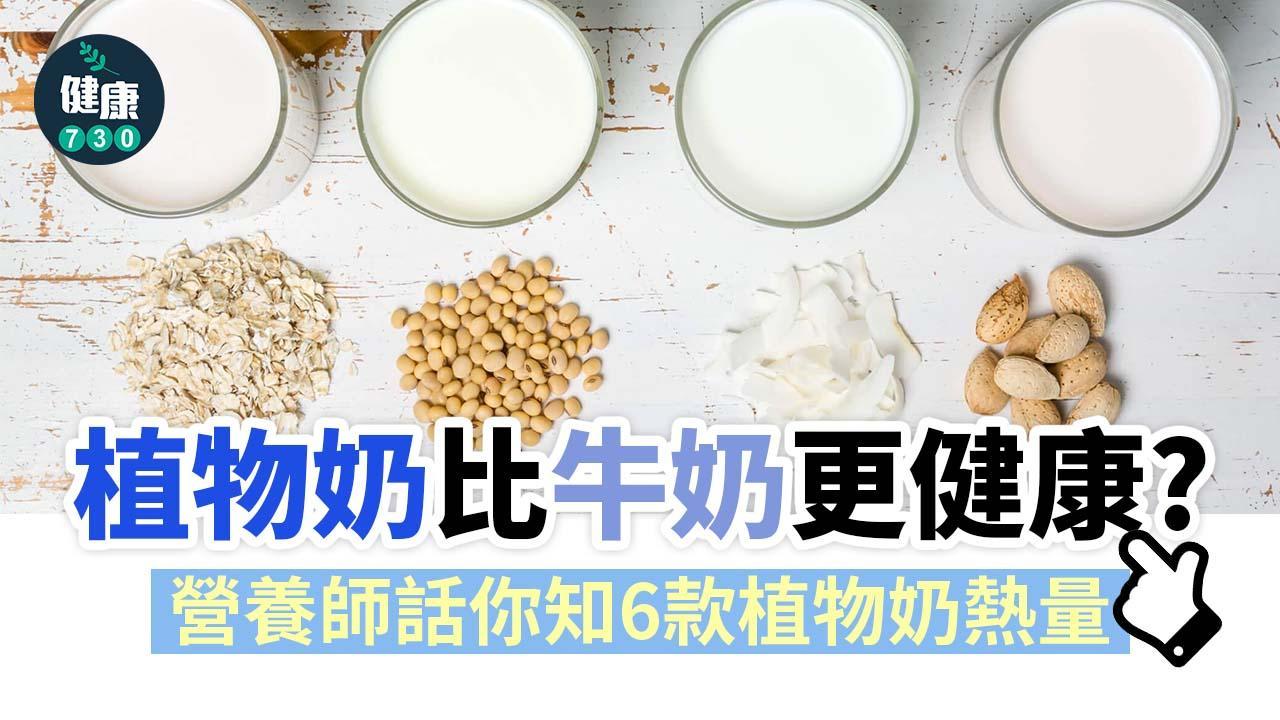 植物奶比較｜植物奶比牛奶更健康？營養師話你知營養價值及熱量高低（am730製圖）