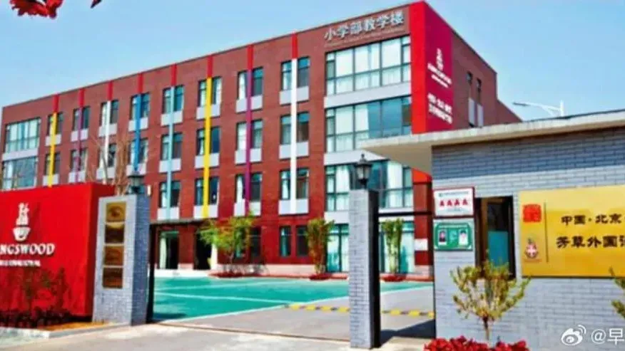 北京知名國際學校傳停招　內地業界恐陷倒閉潮