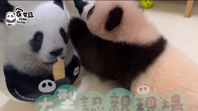 家姐興奮撲上前。(海洋公園)