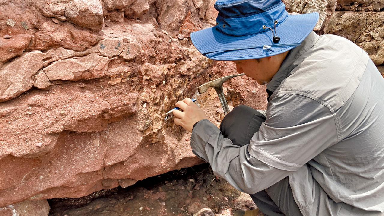 赤洲完成發掘今解封 起30塊含恐龍化石岩石 質量有待確定