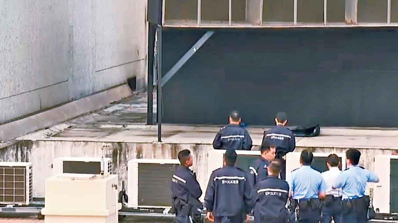 兩幼犬麗閣邨疑被擲落街 警列殘酷對待動物