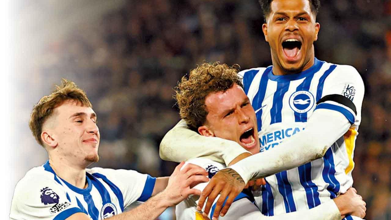 「海鷗」主場無懼 「蜂」襲可捧