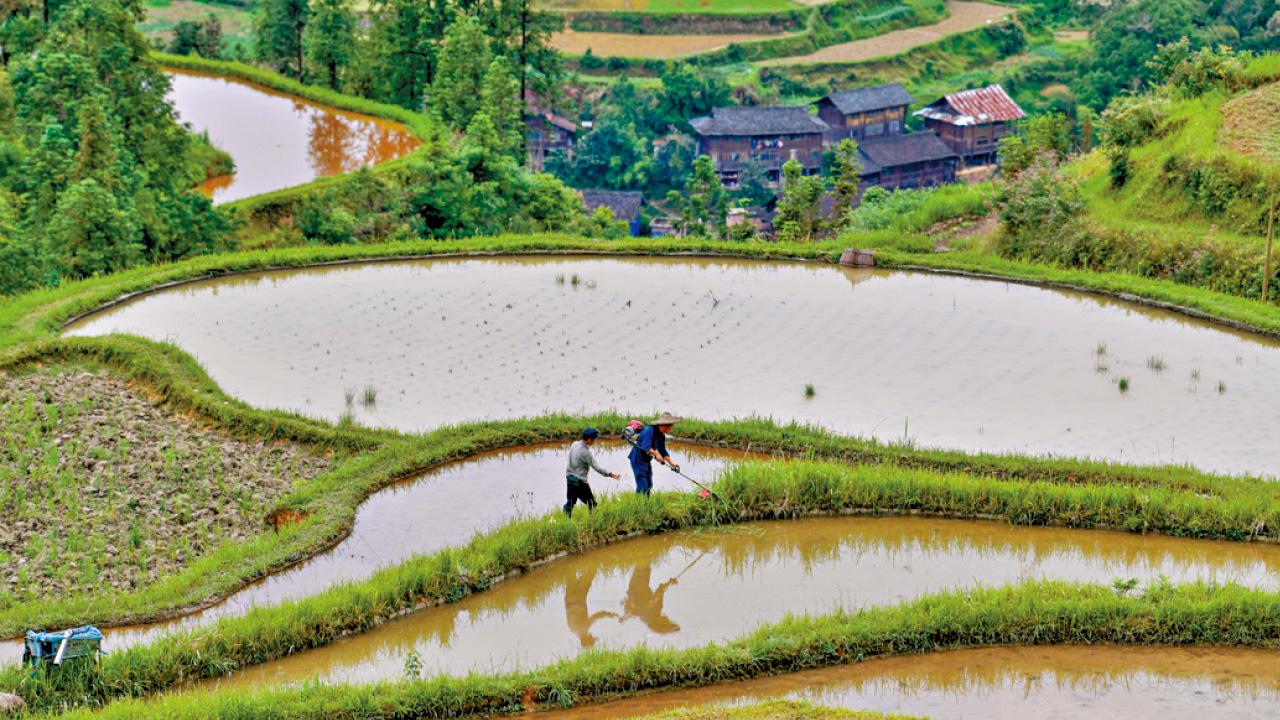 將人生目標視為耕種