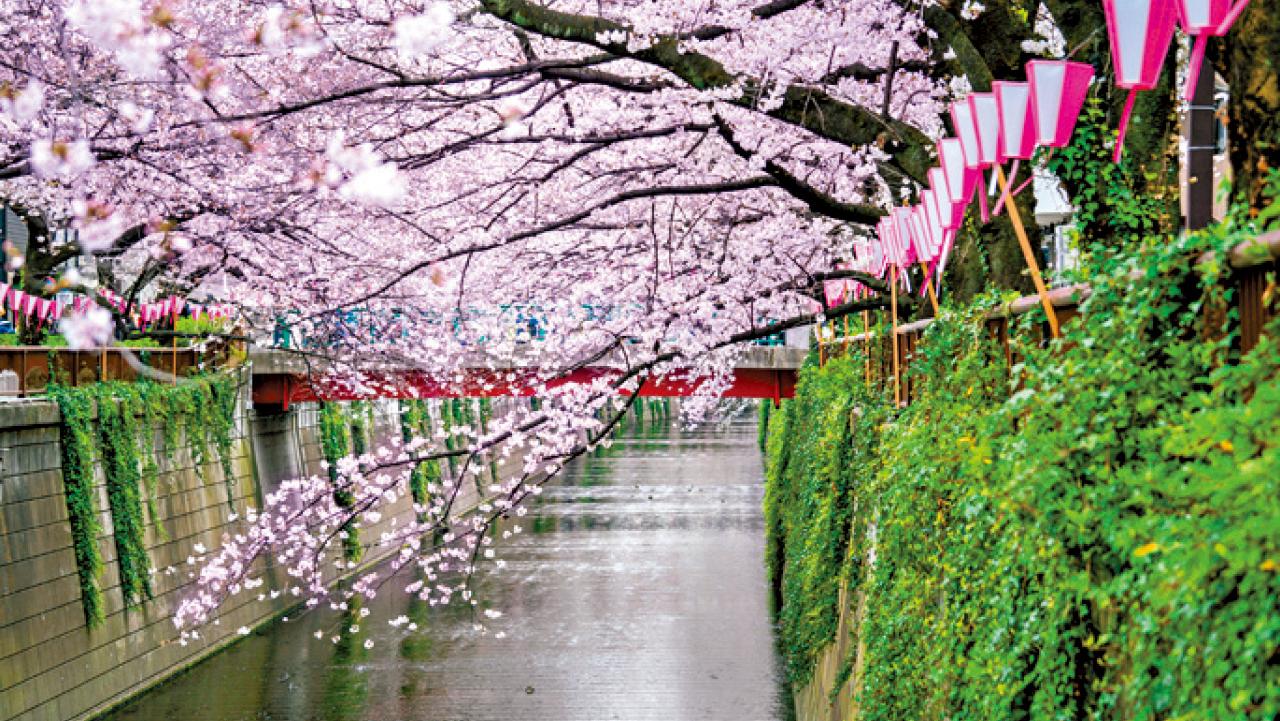 打工人士注意！ 2025年請假攻略懶人包 善用紅日自製長假期  Annual Leave早請有著數