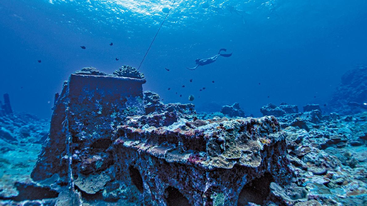 臺灣觀光協會再度回歸DRT SHOW 發掘台灣潛水寶地