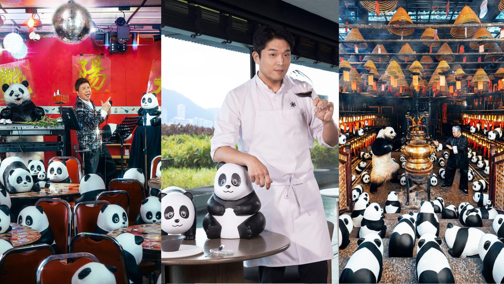 PANDA GO！香港遊｜洪金寶 尹光 「黑白大廚」安成宰陪伴熊貓四圍走 率先暢遊香港地標