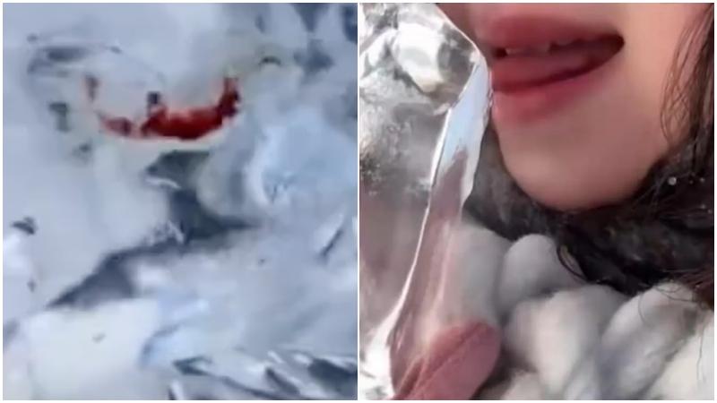 哈爾濱冰雕多處現「血印」　疑為遊客舔冰受傷