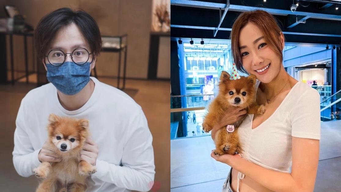 謝東閔以「爸爸」身份懷念朱智賢愛犬 多謝狗狗讓他學識照顧人