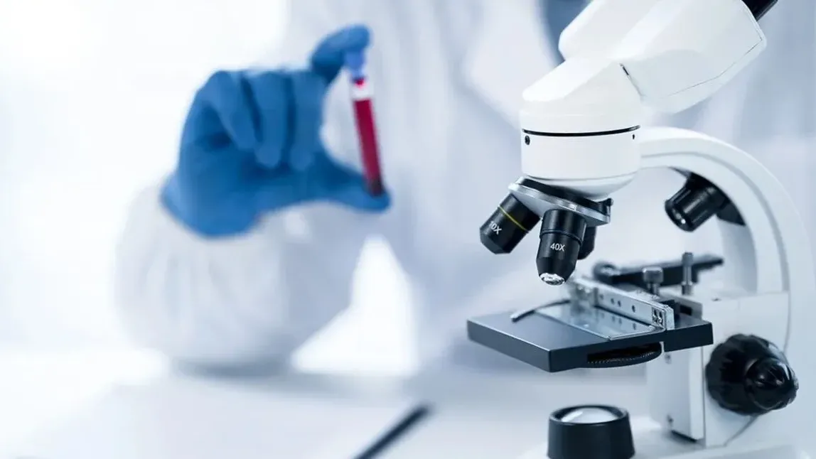 「癌組織工廠」具三維培養優勢，縮短體外培養時間。