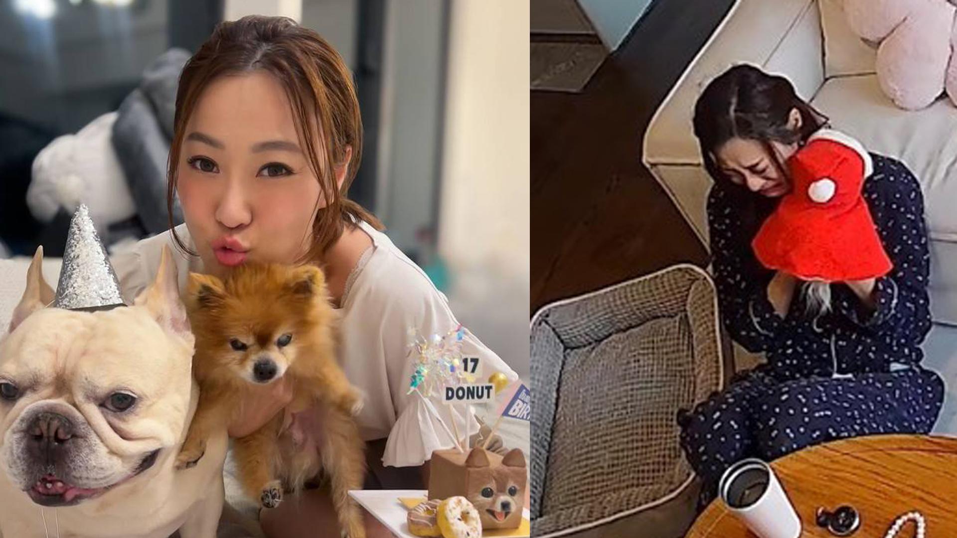 朱智賢愛犬離世把遺物痛哭 舊愛謝東閔送上安慰