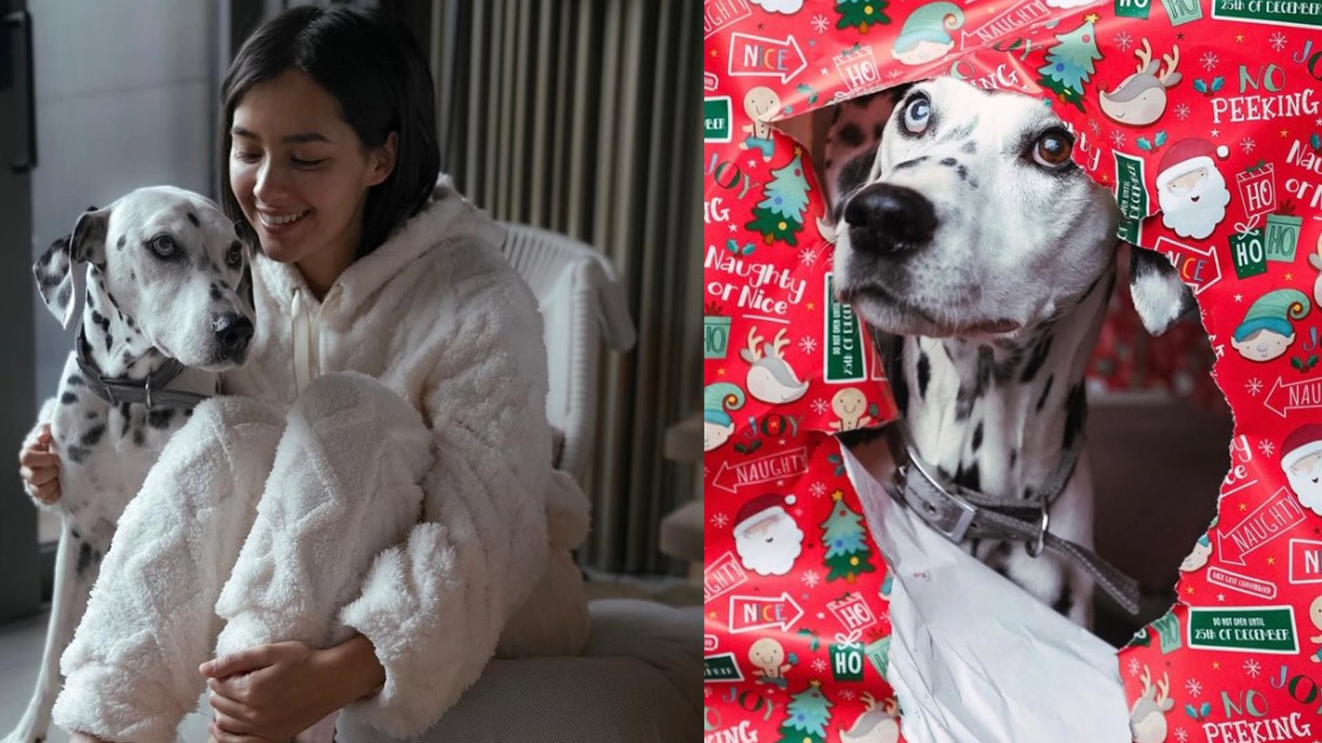 謝嘉怡愛犬Leo大步檻過 聖誕節留家看片平靜過