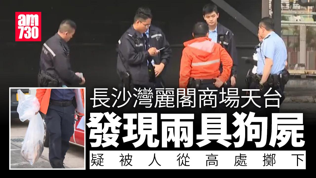兩狗疑遭人高處擲下伏屍麗閣商場平台　警列殘酷虐待動物