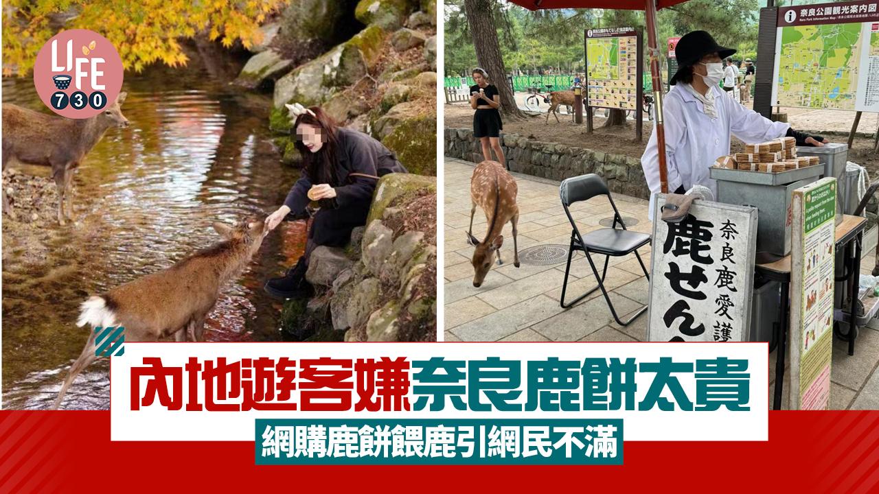 網上熱話｜內地遊客嫌奈良鹿餅太貴 網購鹿餅餵鹿引網民不滿