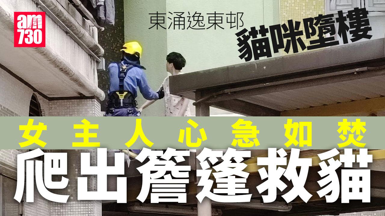 東涌逸東邨貓咪墮樓生死未卜　女貓主激動爬出簷篷拯救