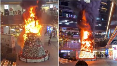 成都商場10米高聖誕樹變「火炬」　疑路人丟煙頭釀禍