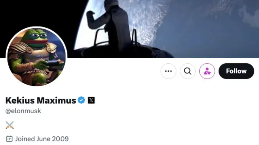 馬斯克變Pepe改名Kekius Maximus後改返正常 迷因幣如過山車急升急回