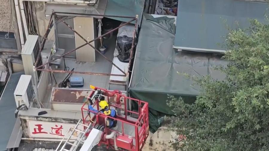 紅磡英國短毛貓跳窗墮天井，消防架雲梯搜索發現身亡。(有線新聞截圖)