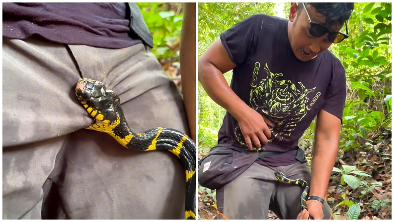 男網紅冒險拍片玩蛇，命根被狠咬實痛到標冷汗。(IG)