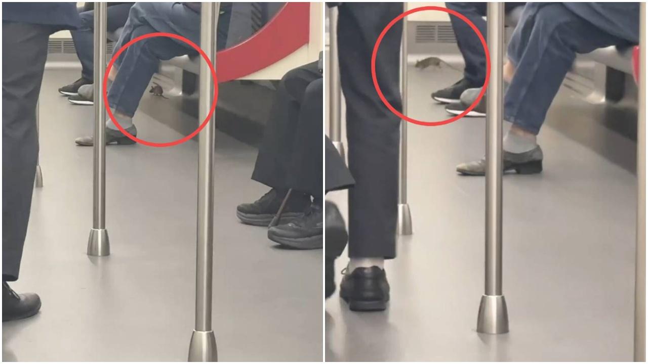 網上熱話｜港鐵車廂驚現「米奇」四處走