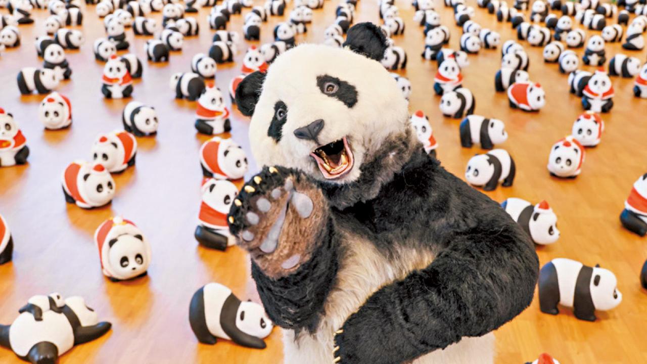 熊貓展覽熱潮首進駐商場 D．PARK打造熊貓藝術樂園
