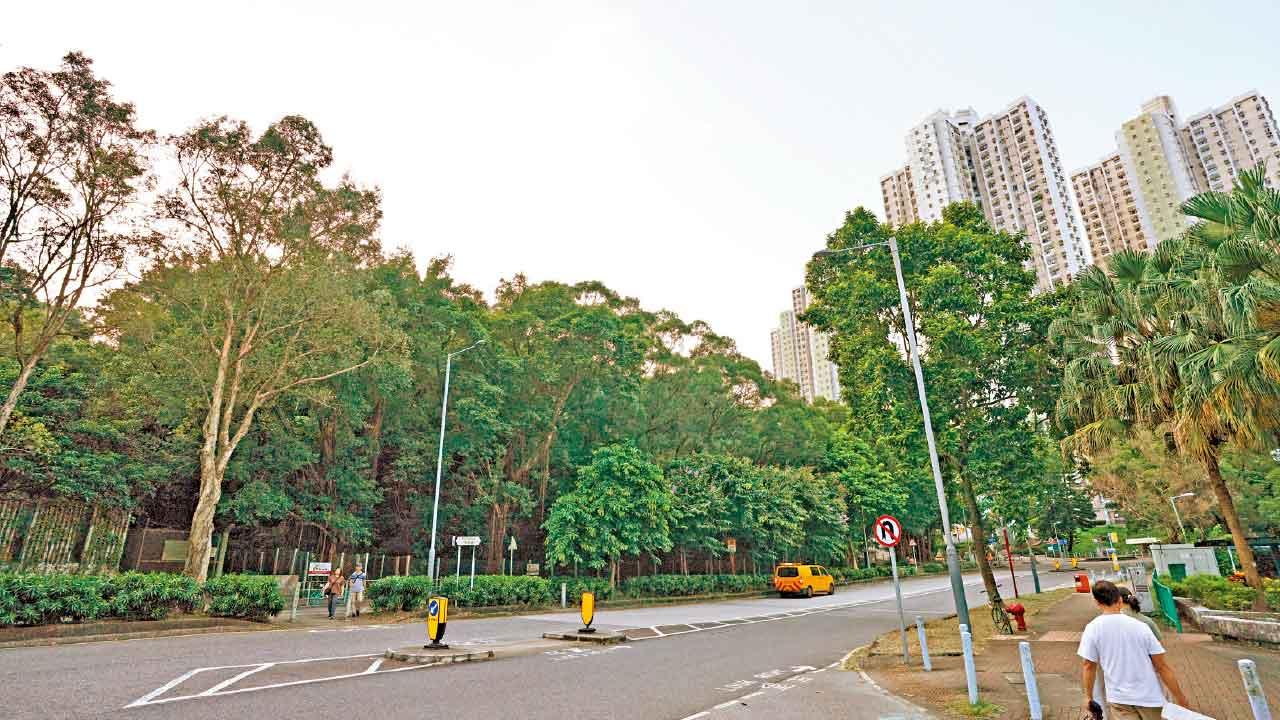 投資23億 擬建中小型單位 新地中標大圍地 每呎地價3128元符預期