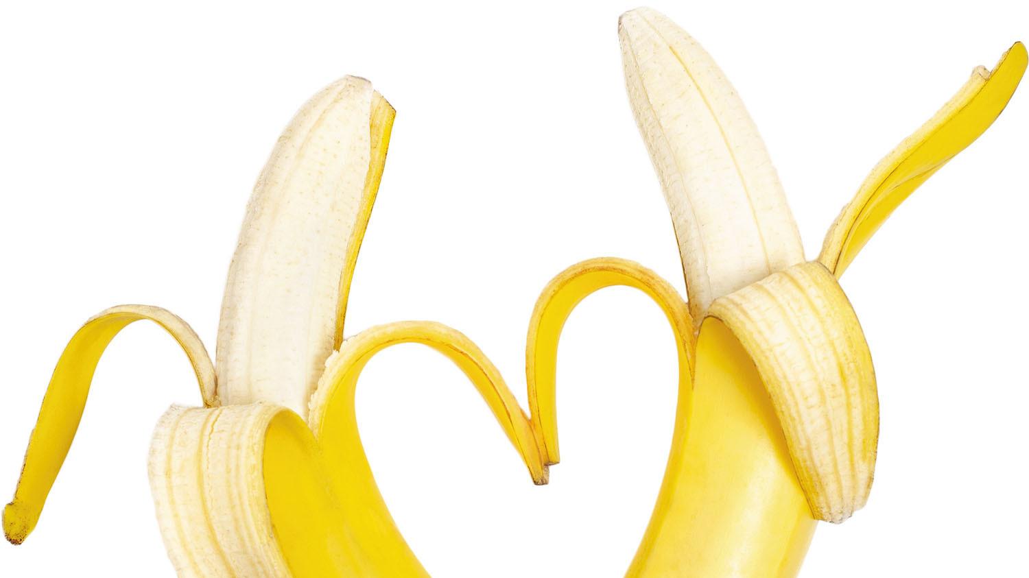 人類男性生殖器比例 原來大過很多靈長類動物 科學家秘揭原因