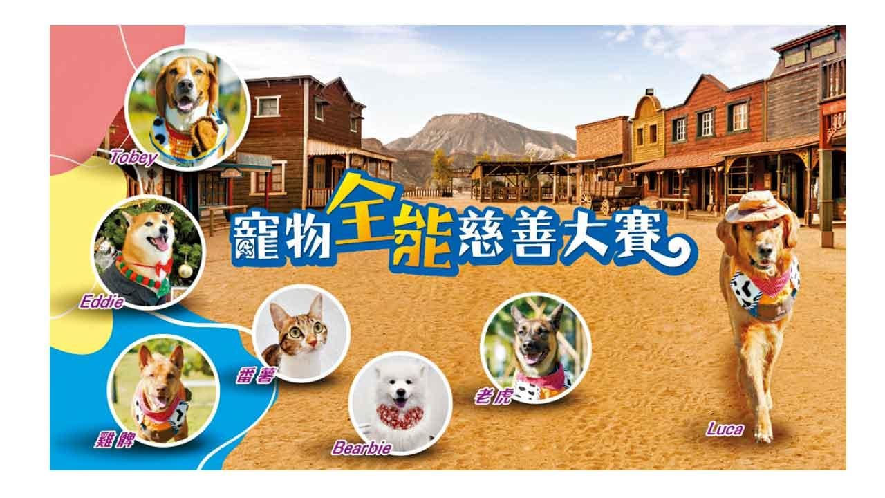 寵物全能慈善大賽2.16舉行 發掘寵物才藝
