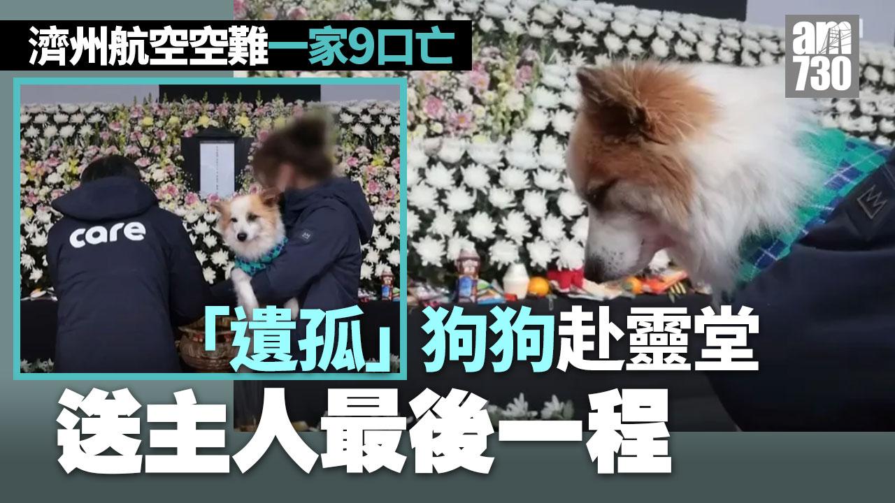 濟州航空空難｜一家9口狗狗「遺孤」赴靈堂 默默送主人最後一程