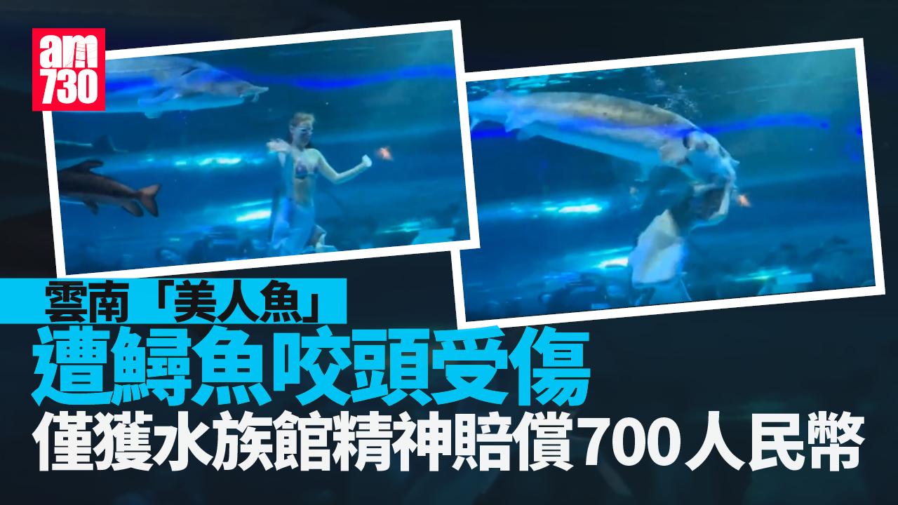 「美人魚」被鱘魚咬傷 俄女獲雲南水族館精神賠償700人民幣（有片）