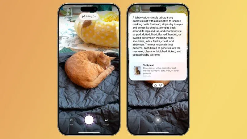 iOS 18.3即將推出　實試Visual Intelligence兩項新功能