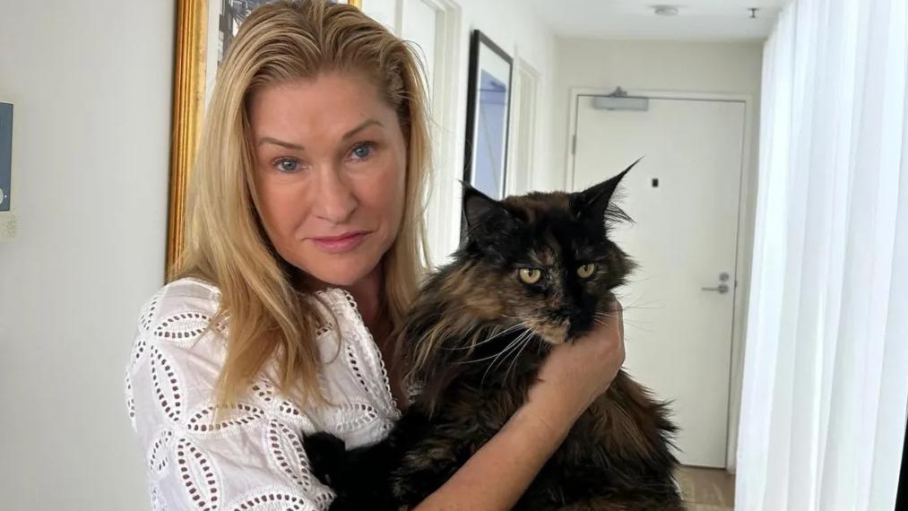 貓咪經過一番折騰，終返回墨爾本新家，與主人尼亞斯團聚。(美聯社)