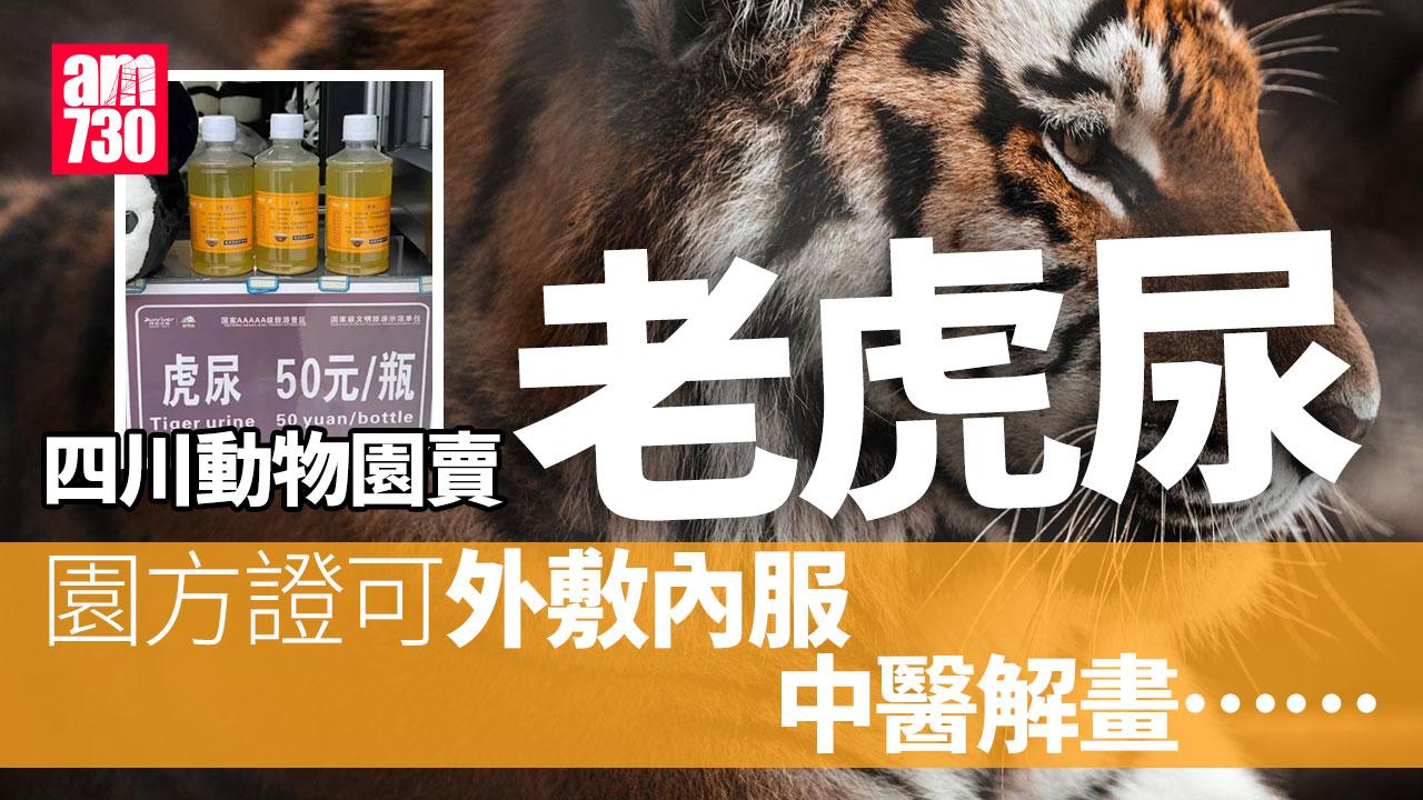 四川動物園賣老虎尿　園方證有人外敷內服　專家咁講