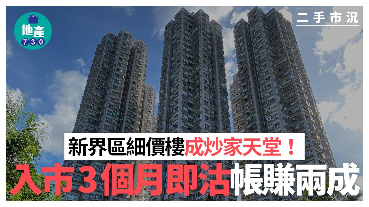 新界區細價樓成炒家天堂 入市3個月甩手帳賺兩成｜二手市況
