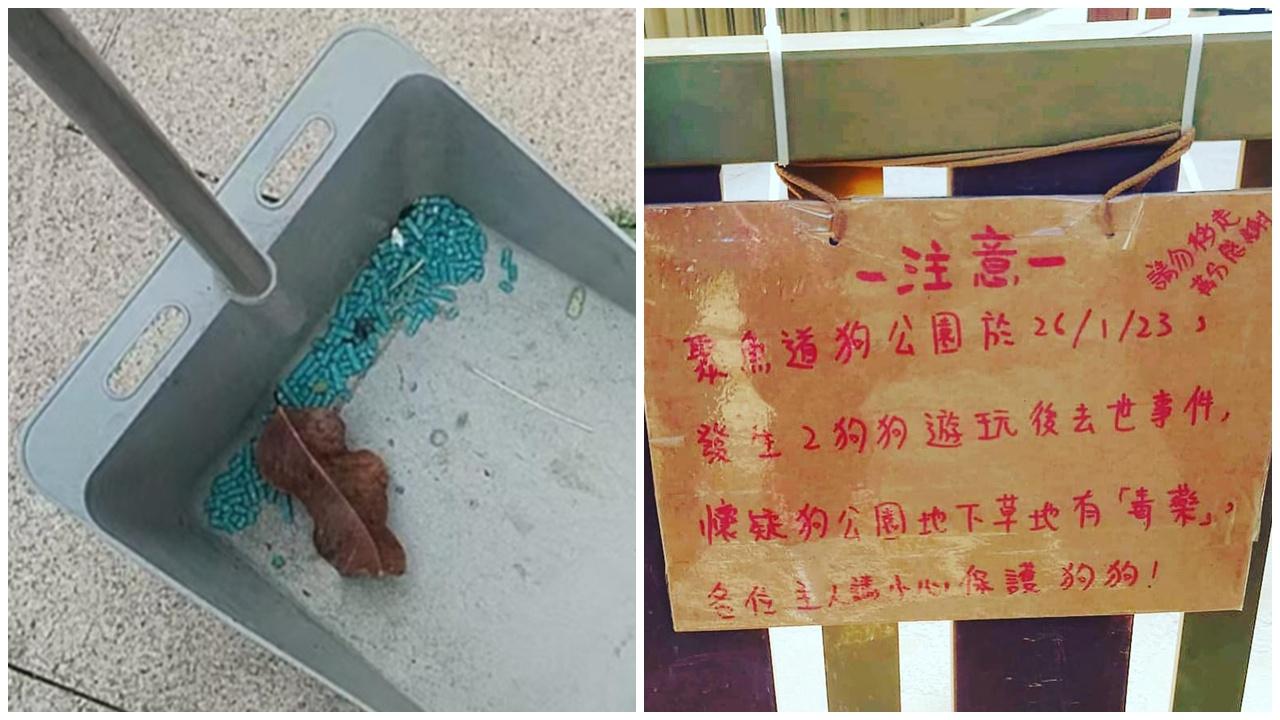 大角咀寵物共享公園屢現老鼠藥，警列殘酷對待動物。