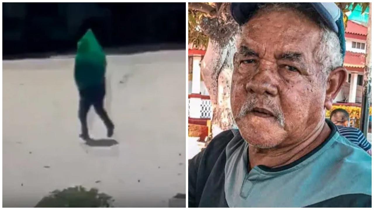 七旬小販遭蜂群襲擊，被逼跳河但溺斃。(X)