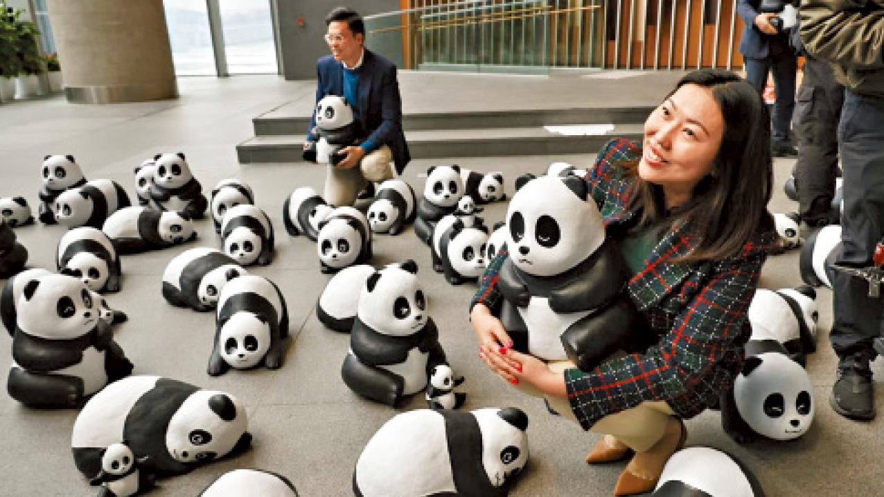 150隻大熊貓雕塑立法會展出 配合龍鳳胎周日與公眾見面