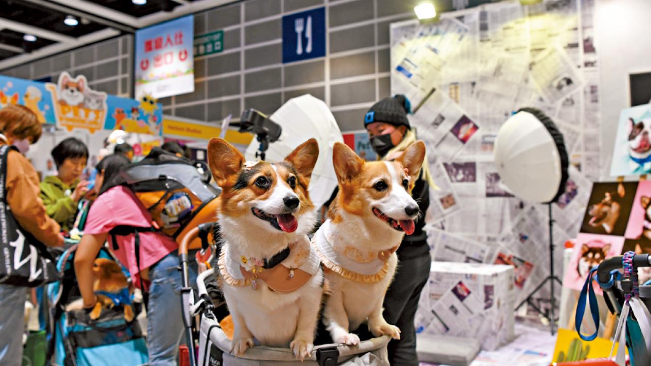 研究檢討現例，為寵物「鬆綁」