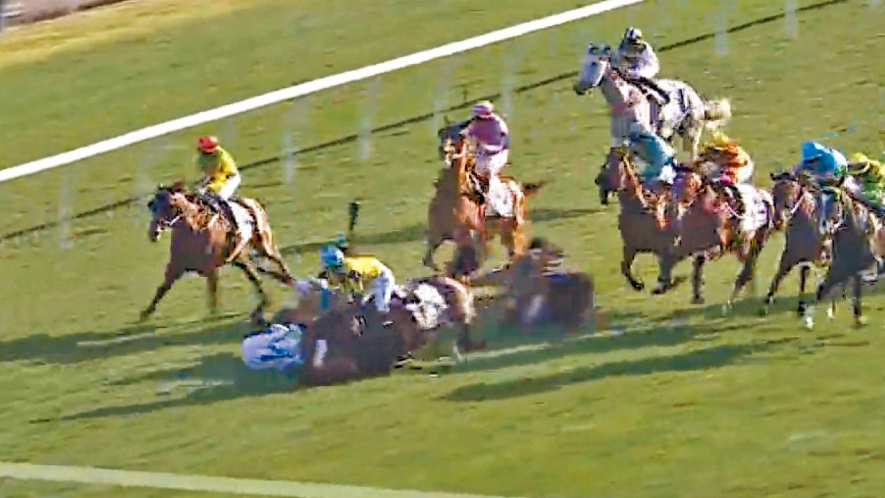 沙田馬場兩墮馬 4騎師被拋落地 賽駒保羅傳奇嚴重受傷未能救治