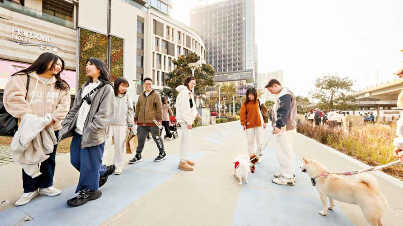 北角匯辦人寵海濱嘉年華 東岸板道上甜蜜打卡