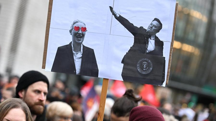 德國另類選擇黨