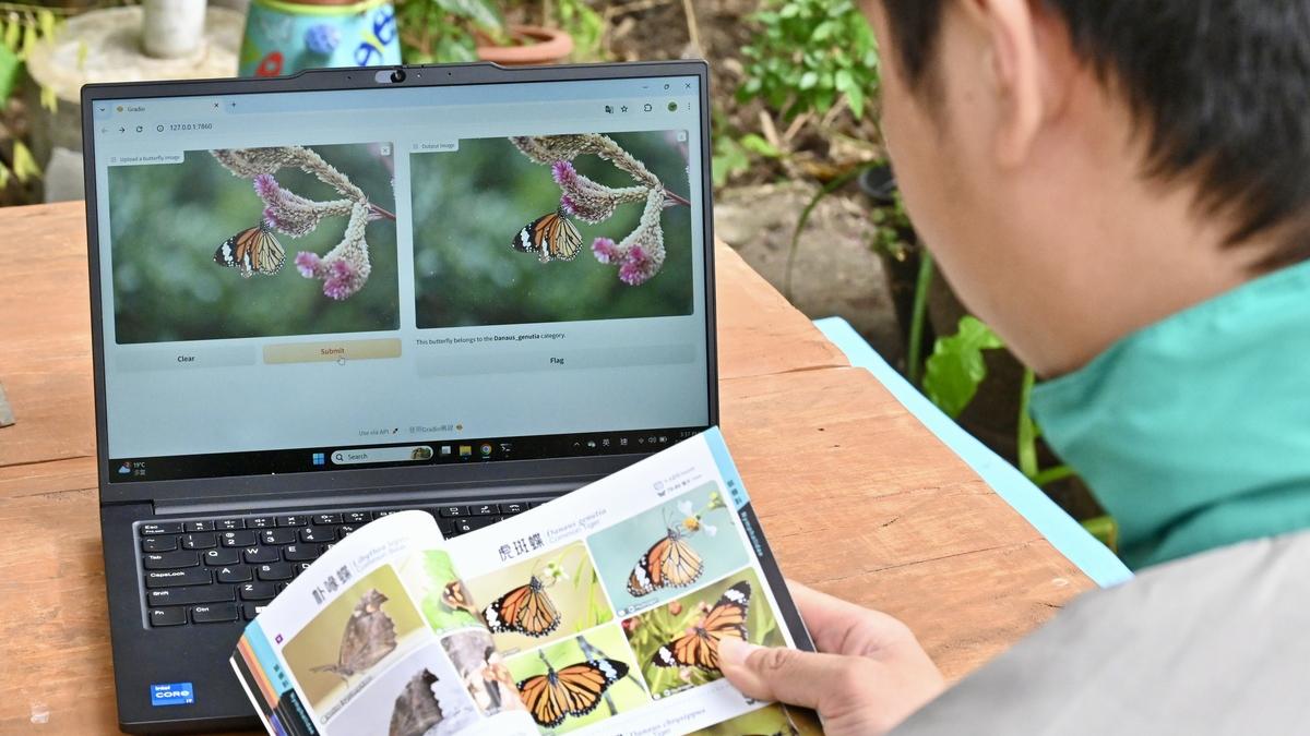 大埔鳳園引入AI系統辨蝴蝶品種　冀兩年內訓練辨認245種蝴蝶　有望強化保育工作