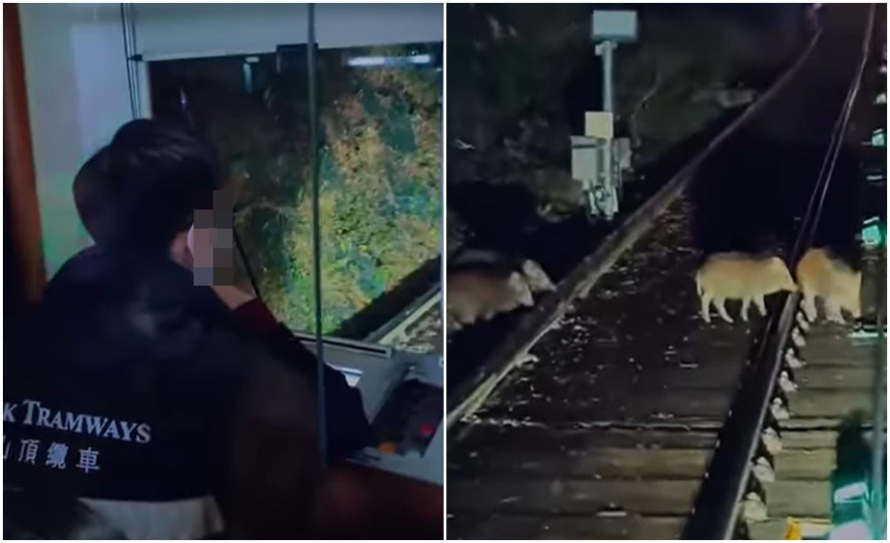 @fb車cam L（香港群組）影片截圖