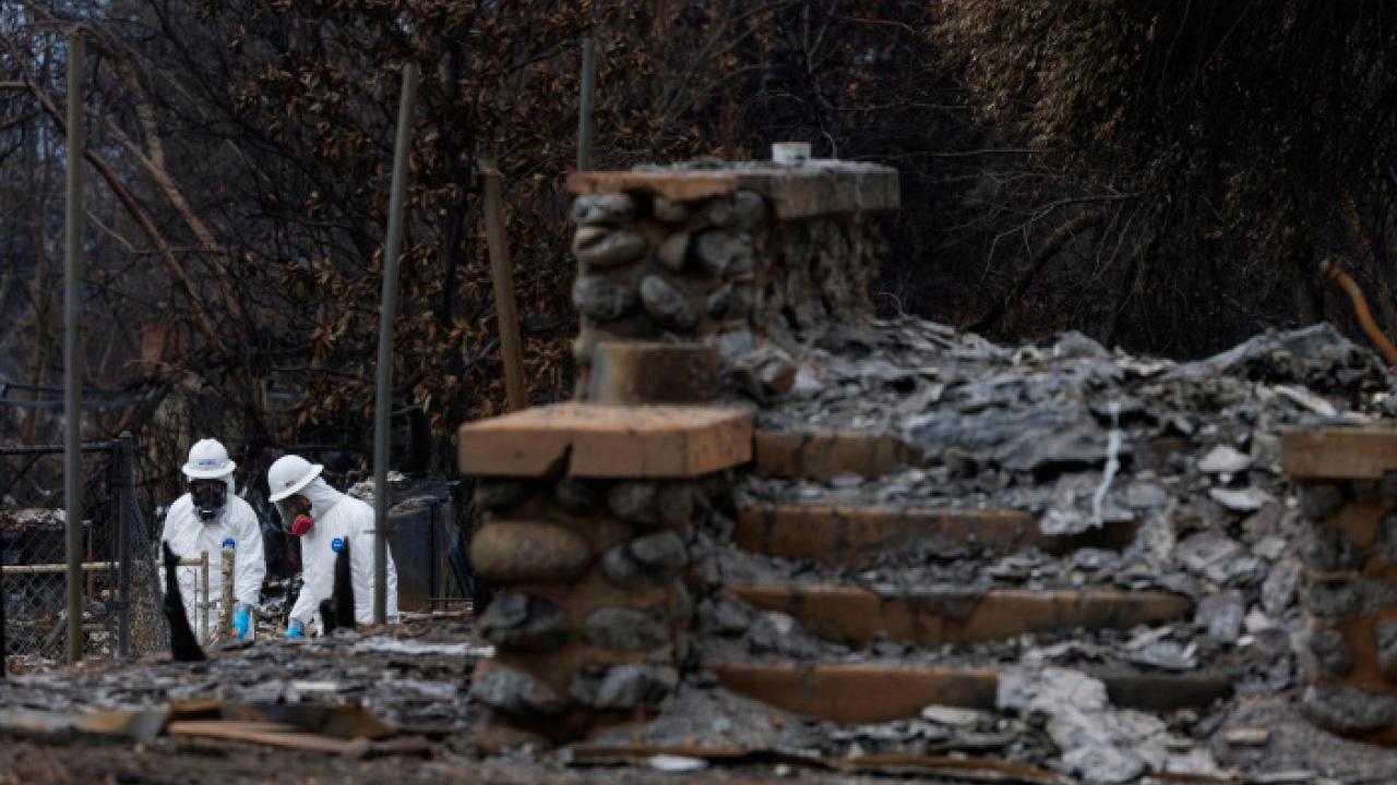 適應極端天氣 城市要抗老化