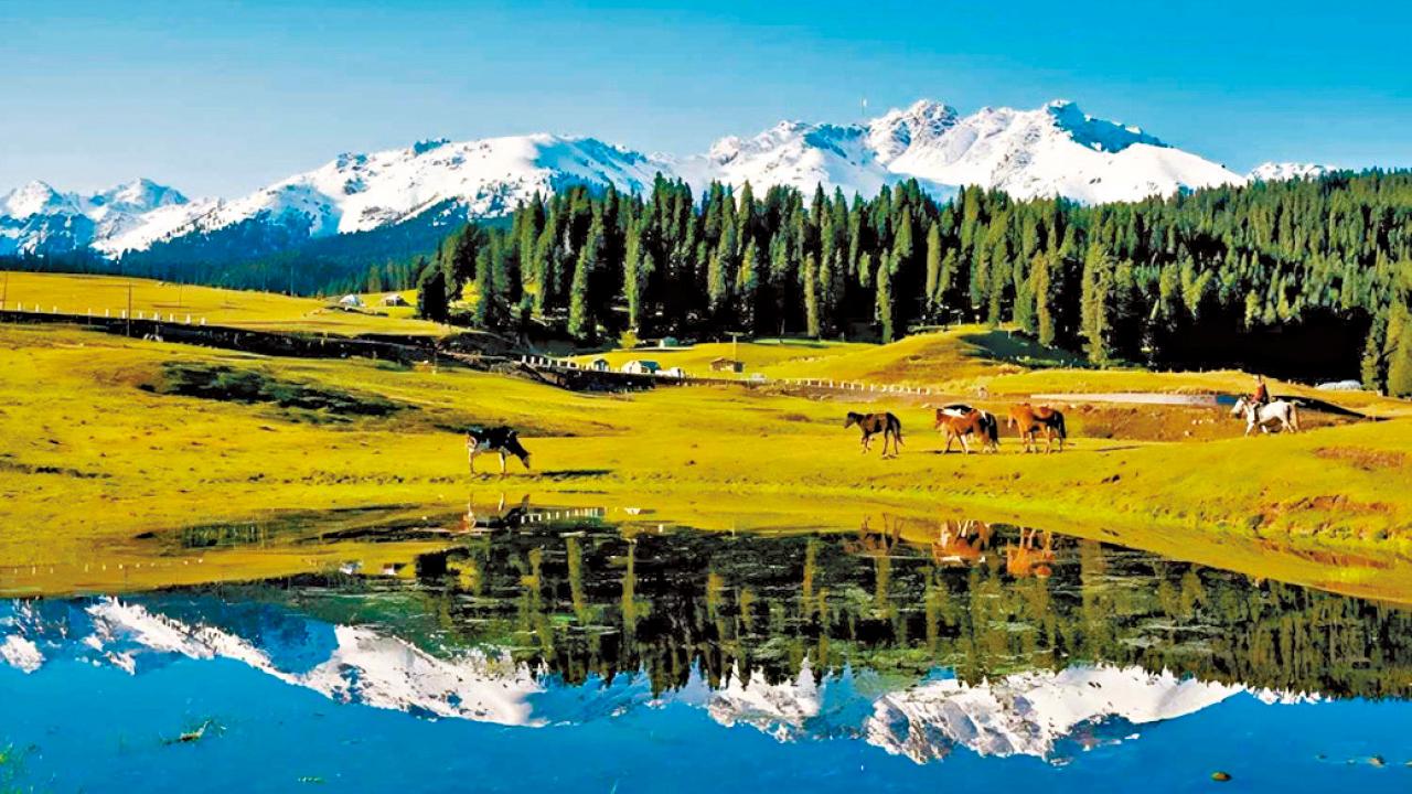 11天西部純玩團 帶大家踏上真正的「絲綢之路」！