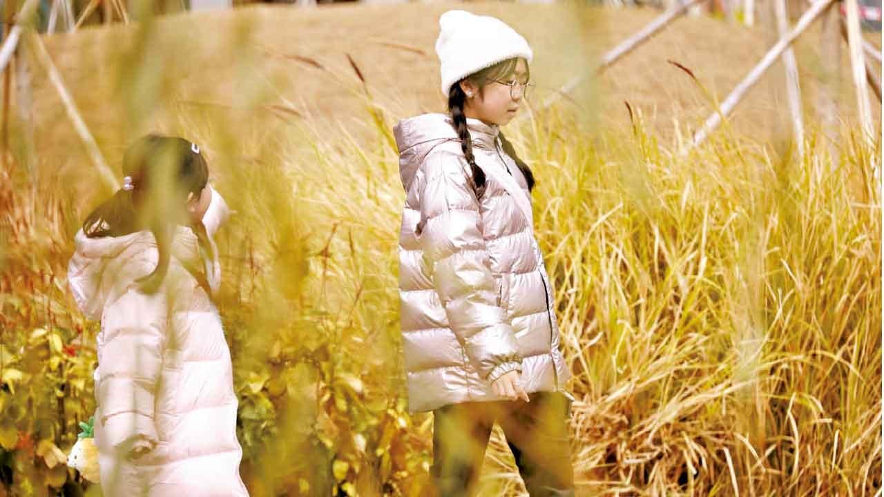 立春迎東北季候風轉冷 本港今日低見12度