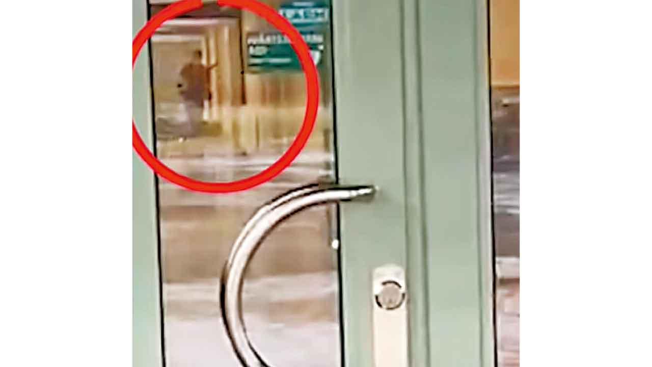 獨行槍手闖成人學校 瑞典罕爆校園槍擊11死多傷