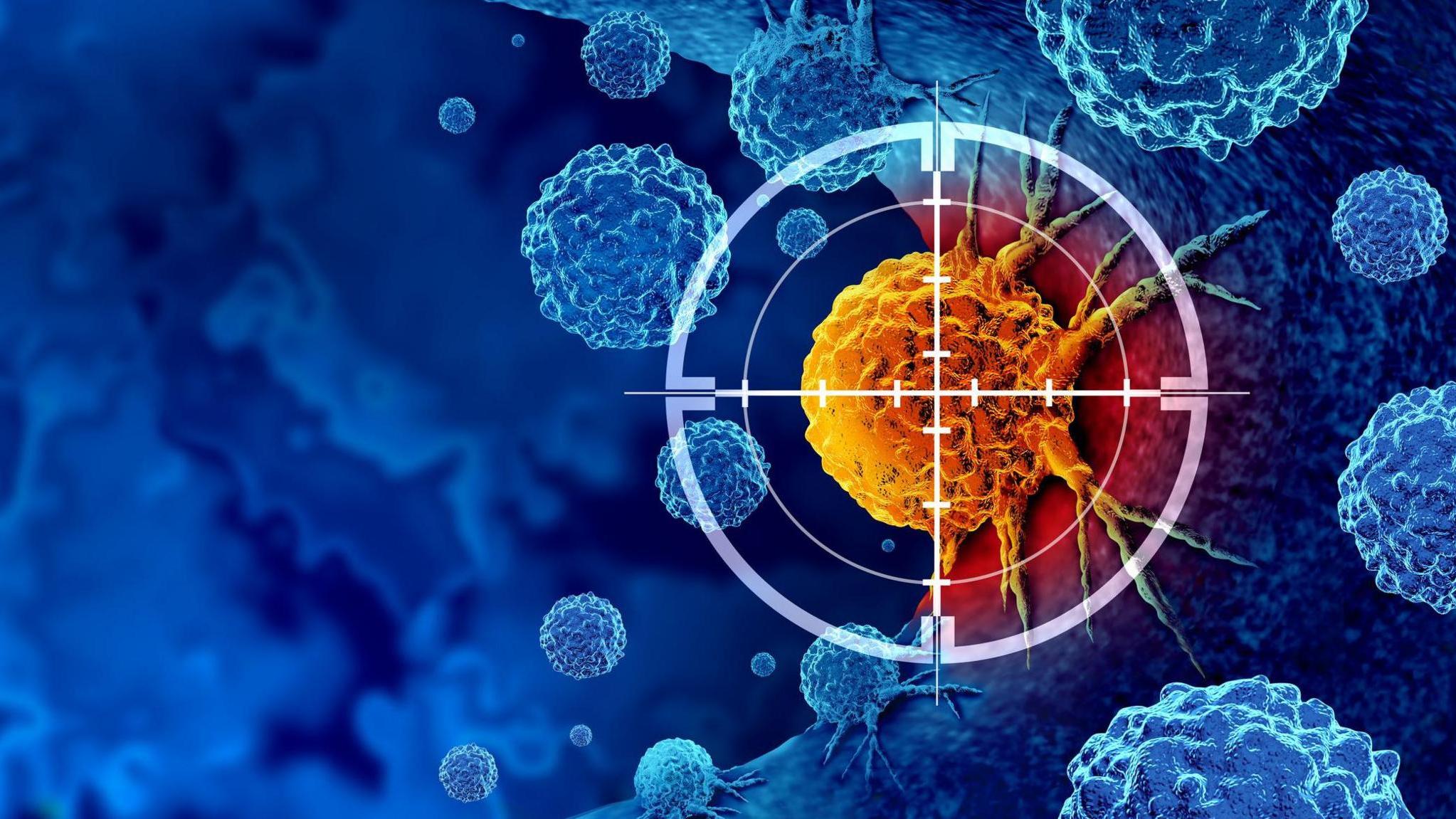 醫療新科技 澳研究揭示電療後癌細胞凋亡途徑 開啟治療新方向