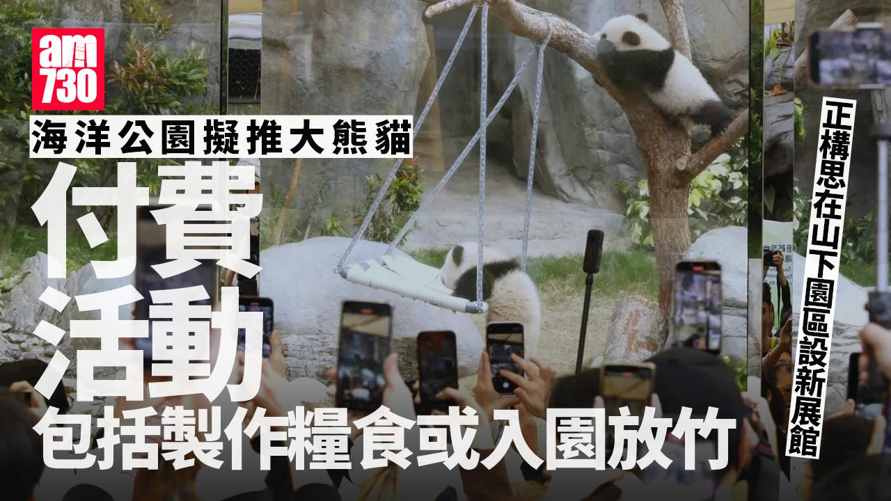 大熊貓｜龐建貽：熊貓勢頭強勁 冀下半年延長見面時間 暫不考慮加價