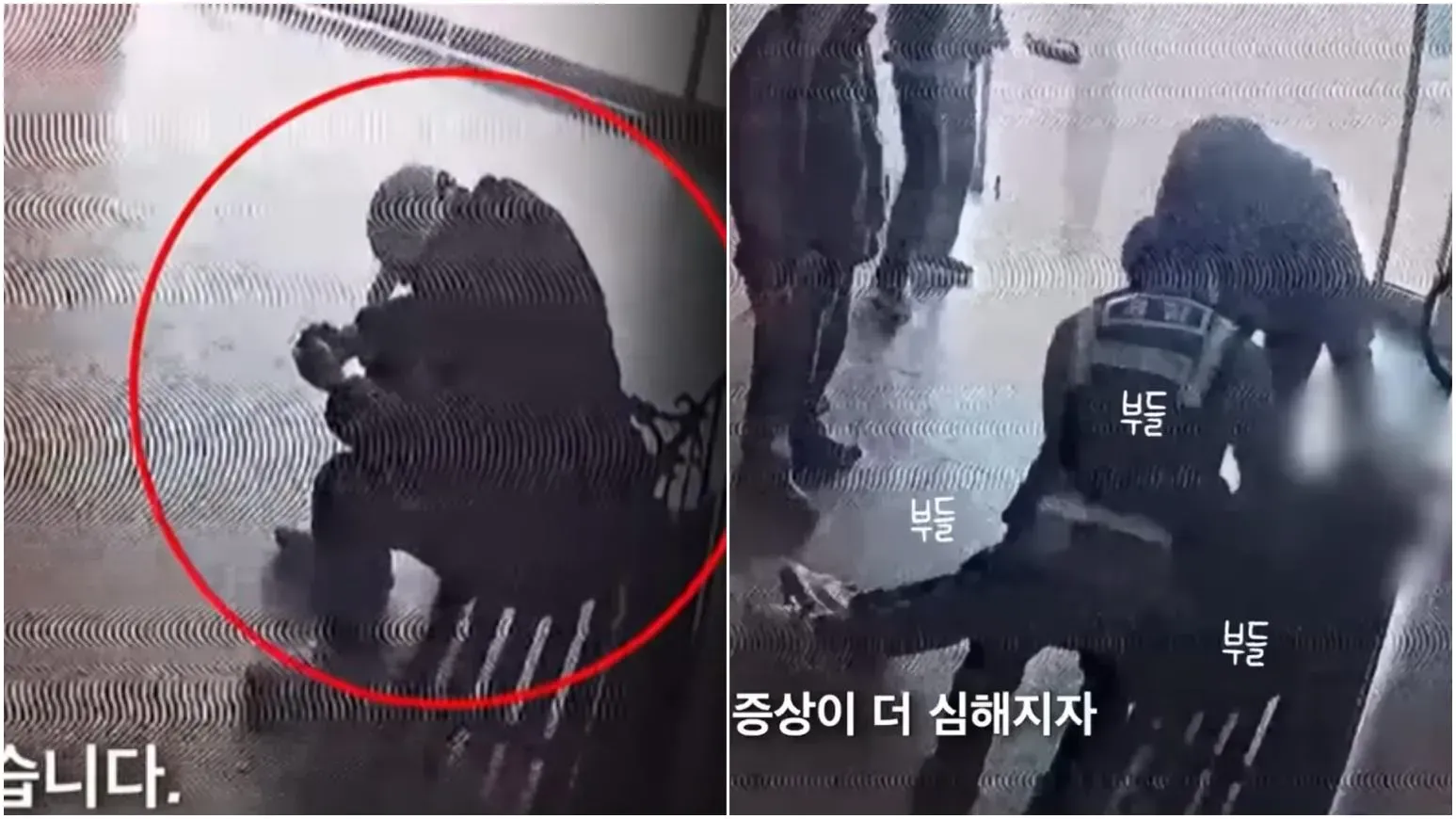 南韓男「石化」如被點穴　機警管理員報案救一命